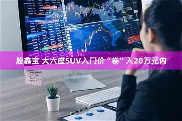 股鑫宝 大六座SUV入门价“卷”入20万元内