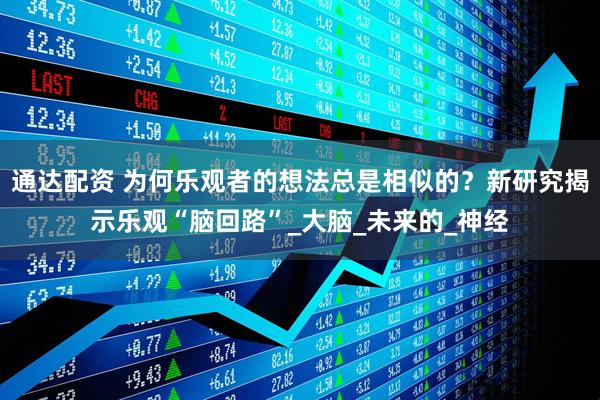 通达配资 为何乐观者的想法总是相似的?新研究揭示乐观“脑回路”_大脑_未来的_神经
