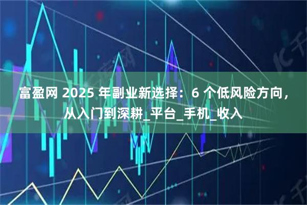 富盈网 2025 年副业新选择:6 个低风险方向,从入门到深耕_平台_手机_收入